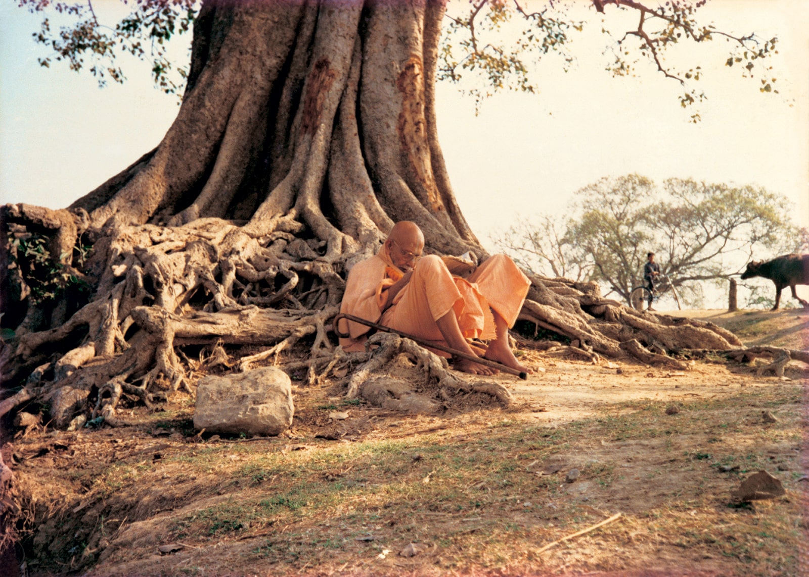 Srila Bhakti Pramod Puri Goswami Thakur is sitting under the Banyan tree. Vrindavan, India